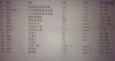 全自動生化分析儀廠家可檢測人體白蛋白-山東國康