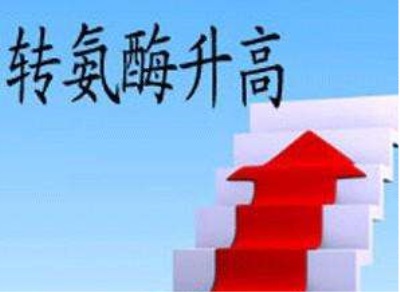 全自動(dòng)生化儀品牌解析轉(zhuǎn)氨酶升高就代表肝有問(wèn)題了嗎-山東國(guó)康